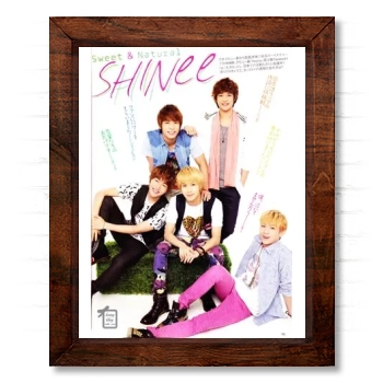 SHINee 14x17