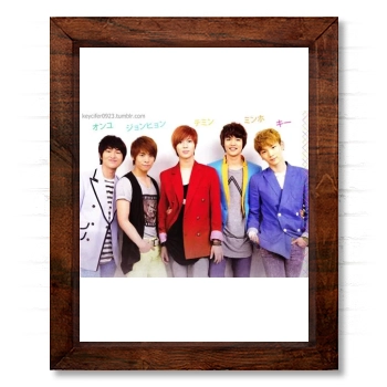 SHINee 14x17