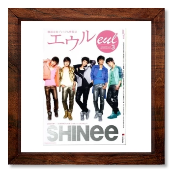 SHINee 12x12