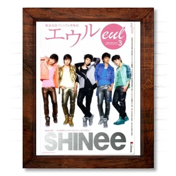 SHINee 14x17