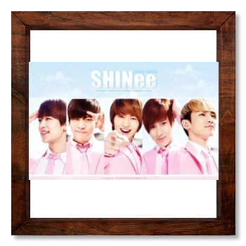 SHINee 12x12