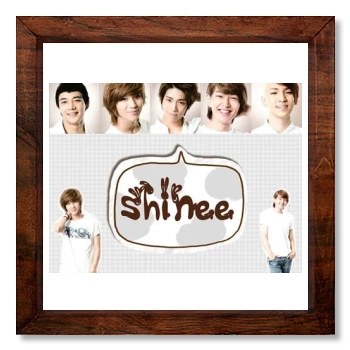 SHINee 12x12