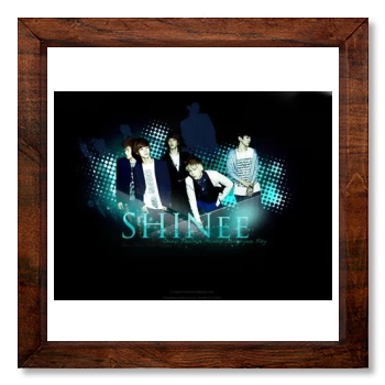 SHINee 12x12