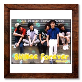 SHINee 12x12