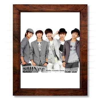 SHINee 14x17