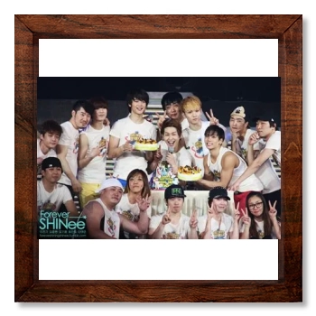 SHINee 12x12