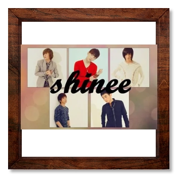 SHINee 12x12