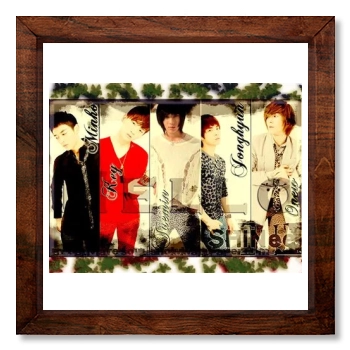 SHINee 12x12