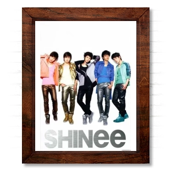 SHINee 14x17