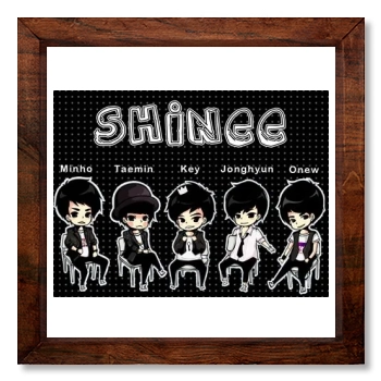 SHINee 12x12