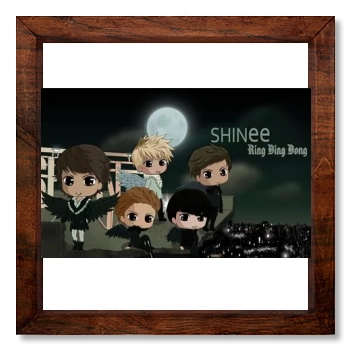 SHINee 12x12