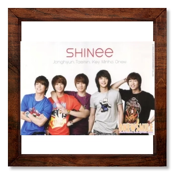 SHINee 12x12