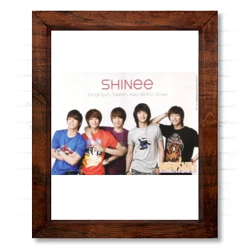 SHINee 14x17