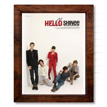 SHINee 14x17