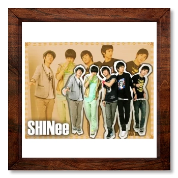 SHINee 12x12