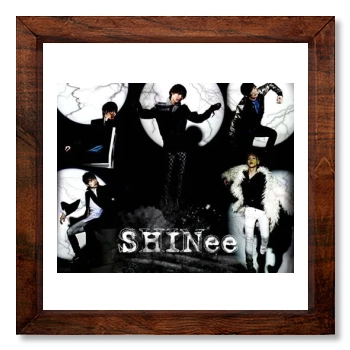 SHINee 12x12