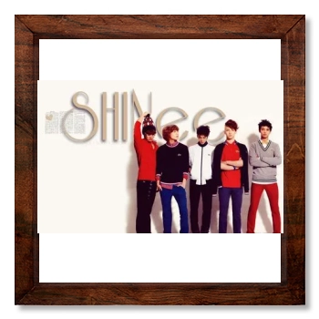 SHINee 12x12