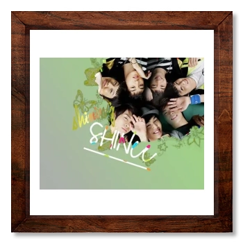 SHINee 12x12