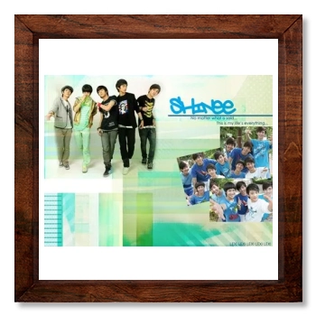 SHINee 12x12