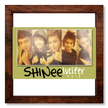 SHINee 12x12