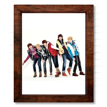 SHINee 14x17