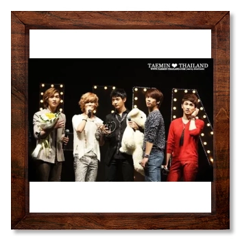 SHINee 12x12