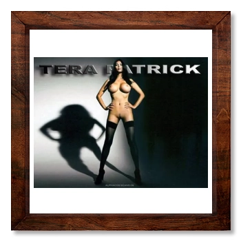 Tera Patrick 12x12