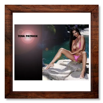 Tera Patrick 12x12