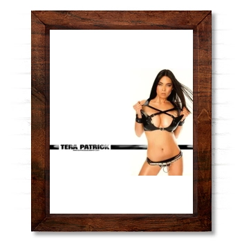 Tera Patrick 14x17