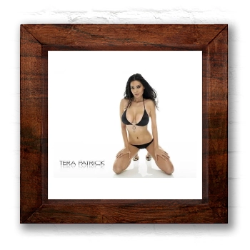 Tera Patrick 6x6