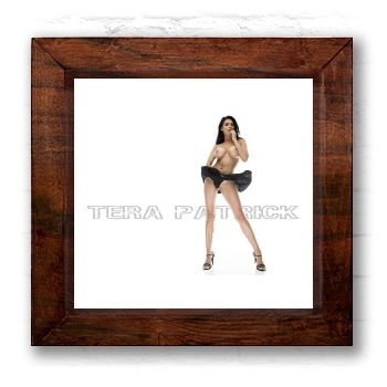 Tera Patrick 6x6