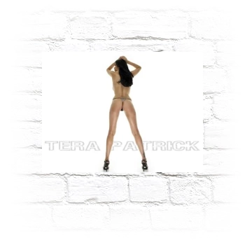 Tera Patrick Metal Wall Art