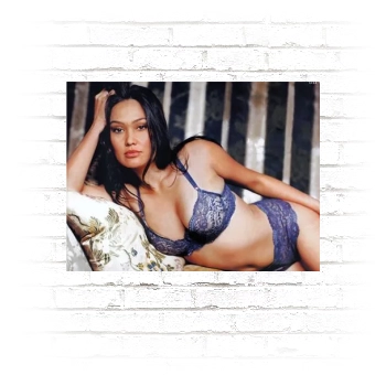 Tia Carrere Poster