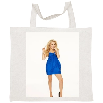 Hayden Panettiere Tote