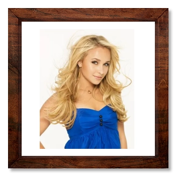 Hayden Panettiere 12x12