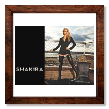 Shakira 12x12