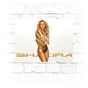 Shakira Metal Wall Art