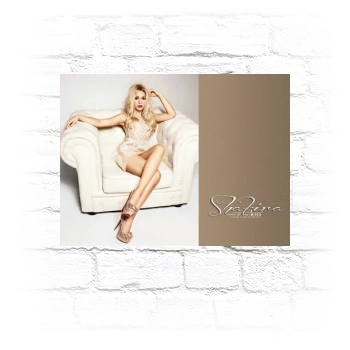 Shakira Metal Wall Art