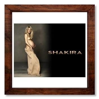 Shakira 12x12