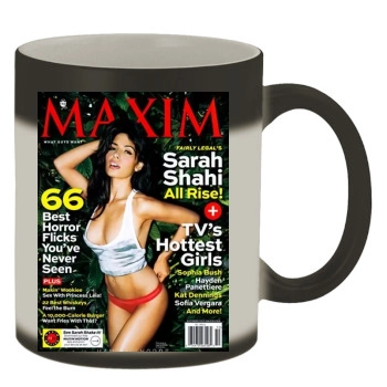 Sarah Shahi Color Changing Mug