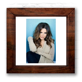 Sophia Bush 6x6