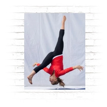 Shawn Johnson Poster