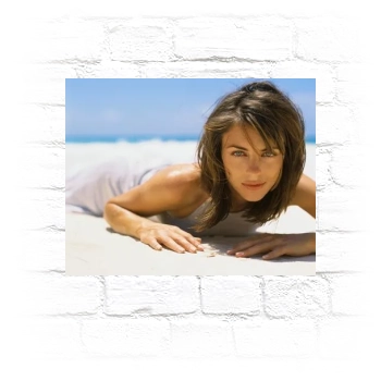 Elizabeth Hurley Metal Wall Art