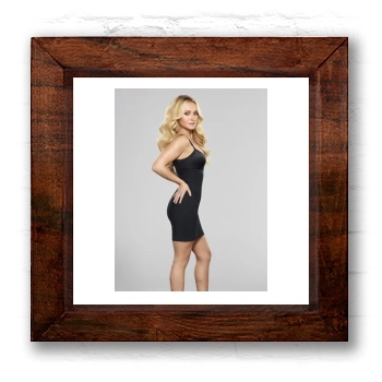 Hayden Panettiere 6x6