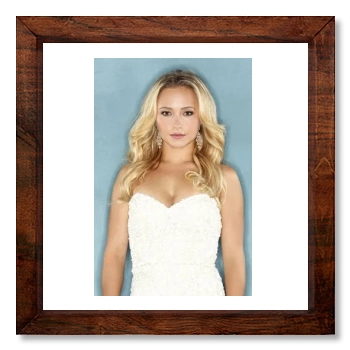 Hayden Panettiere 12x12