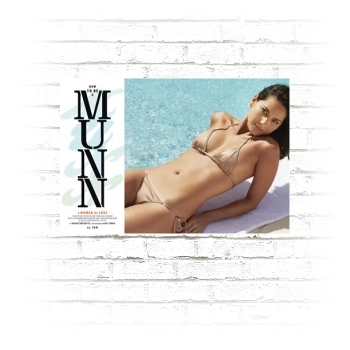 Olivia Munn Poster