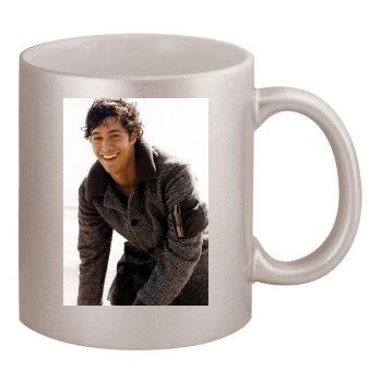 Adam Brody 11oz Metallic Silver Mug