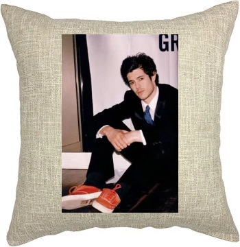 Adam Brody Pillow