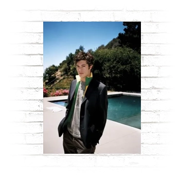 Adam Brody Poster