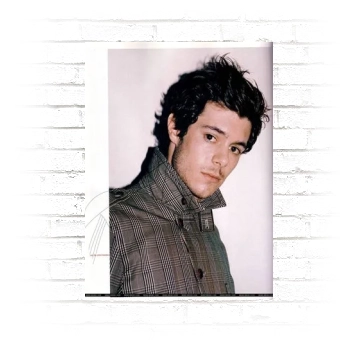 Adam Brody Poster